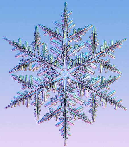 E FLOCON DE NEIGE.jpg