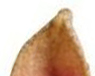 A3.jpg