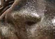 S6.jpg