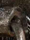 S5.jpg