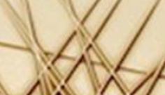 image001.png