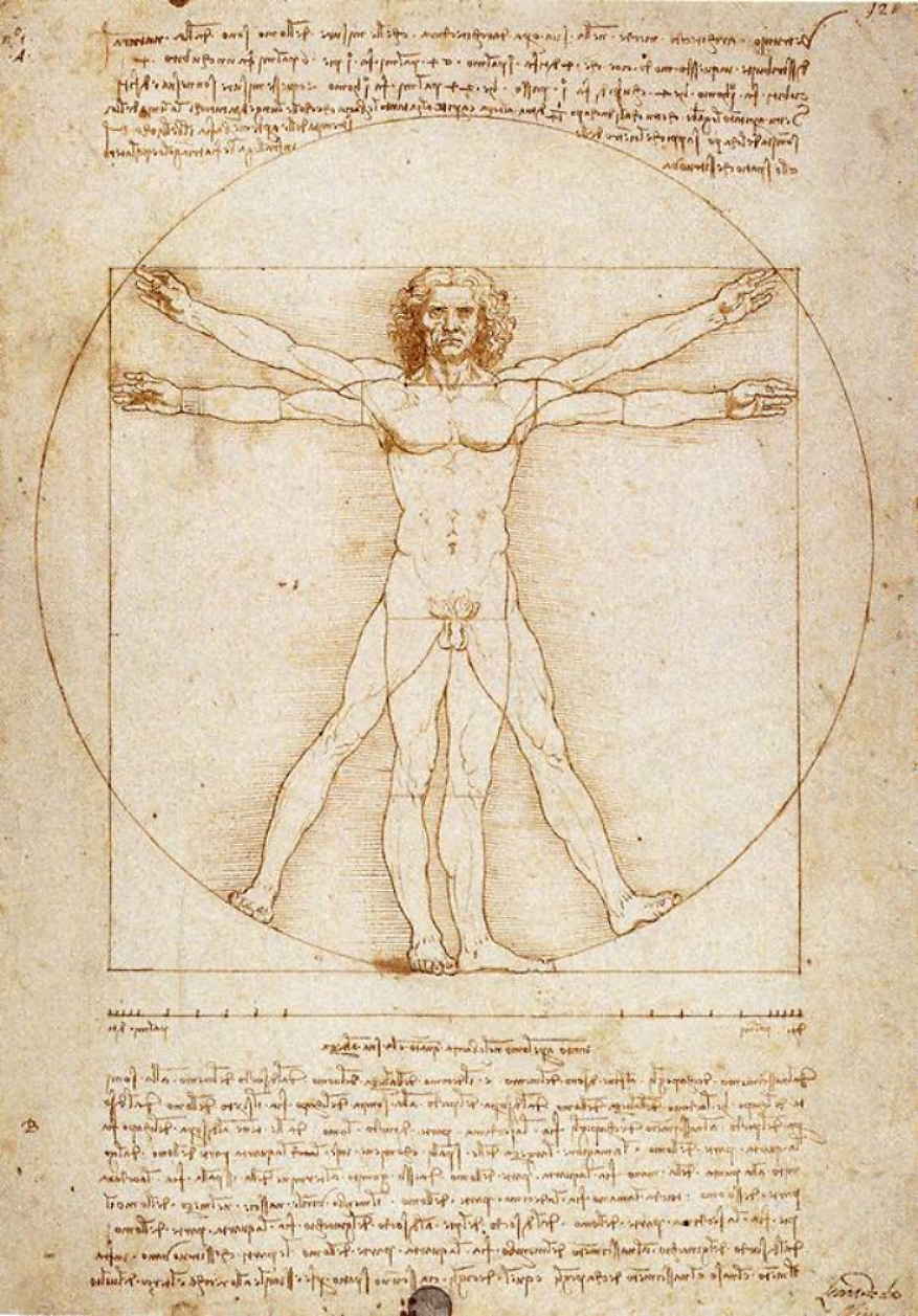 vinci-homme-vitruve.jpg