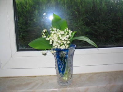 Muguet 2024A.JPG