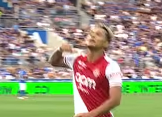 brunner.png