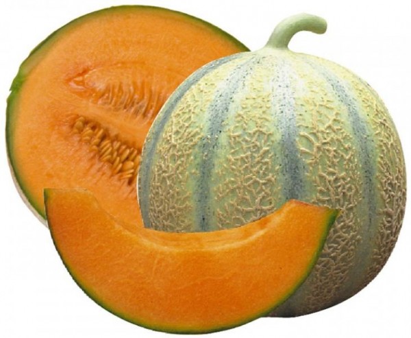 aliment-melon-600x493.jpg