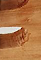 L2.jpg