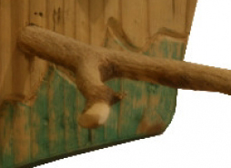 E7.jpg