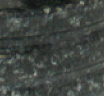 O1.jpg