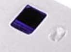 PP3.jpg