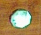 L1.jpg