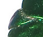 F7.jpg