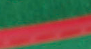 L5.jpg